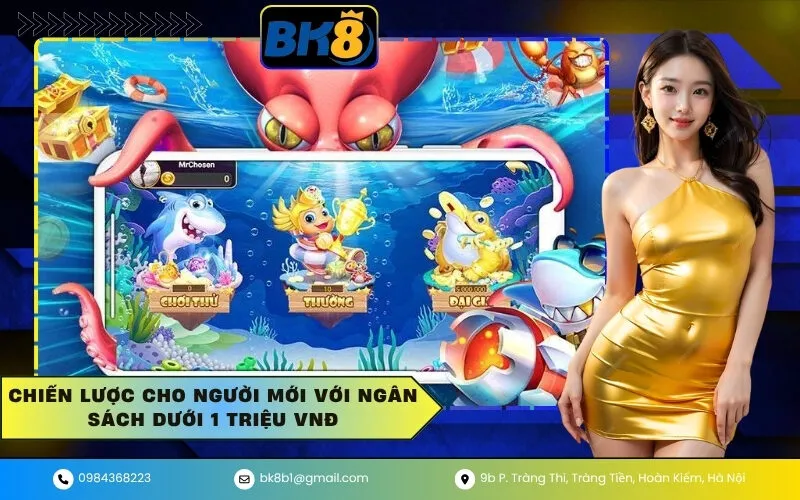 Chiến lược cho người mới với ngân sách dưới 1 triệu VNĐ